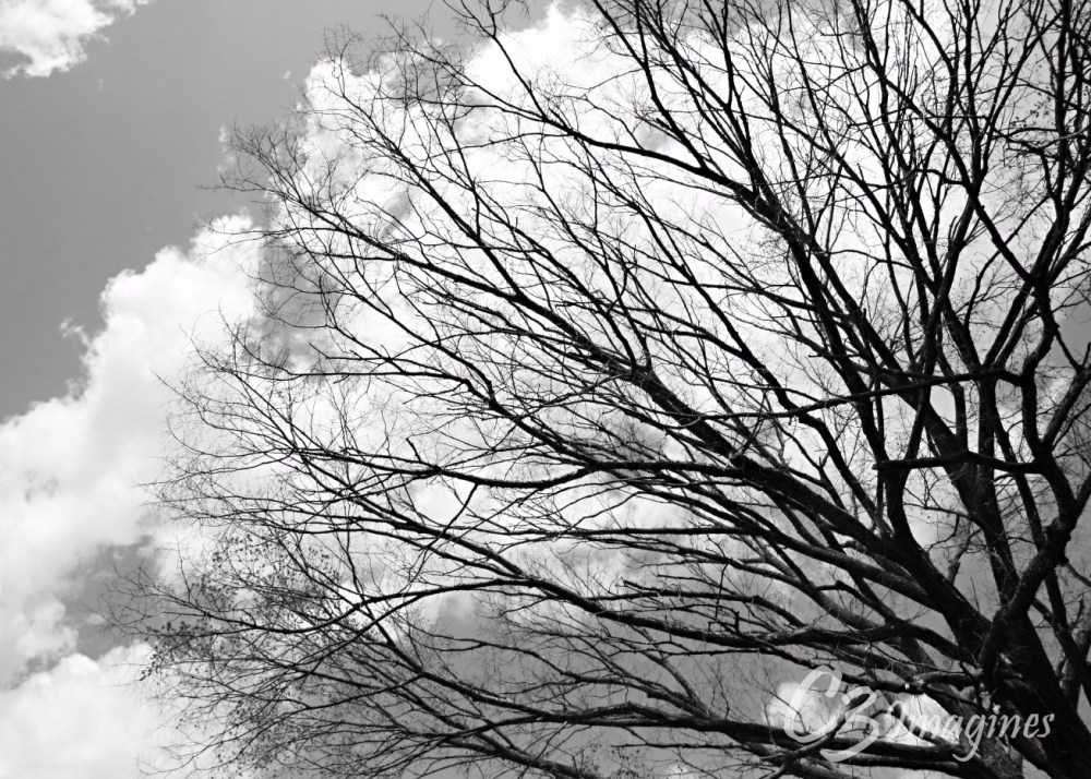 Road Trippin’, Part Deux