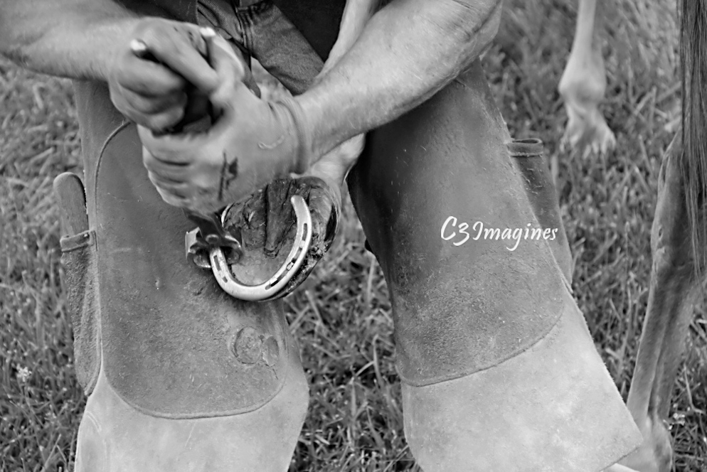 A Horse-sized Pedicure…