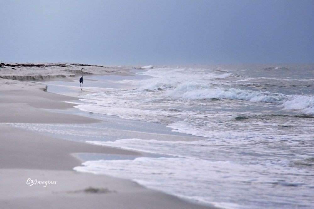 Bon Secour National Wildlife ReFuge