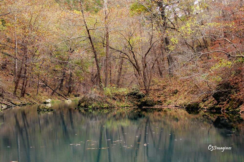 A Spring in Our Step